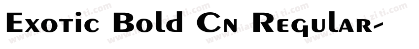 Exotic Bold Cn Regular字体转换